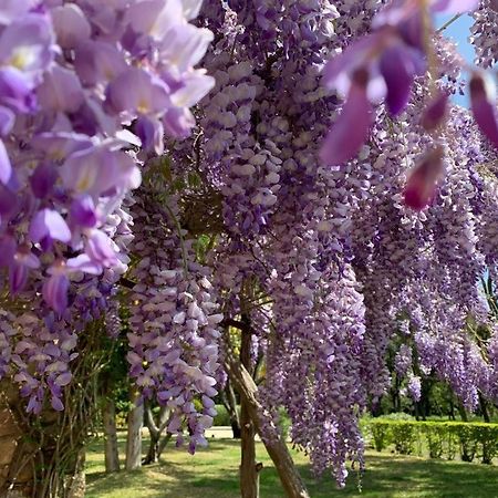Villa Provencale Familiale Avec Piscine Grimaud Eksteriør bilde