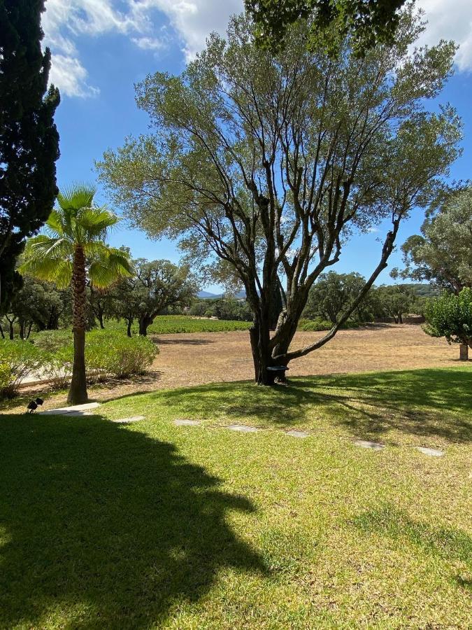 Villa Provencale Familiale Avec Piscine Grimaud Eksteriør bilde