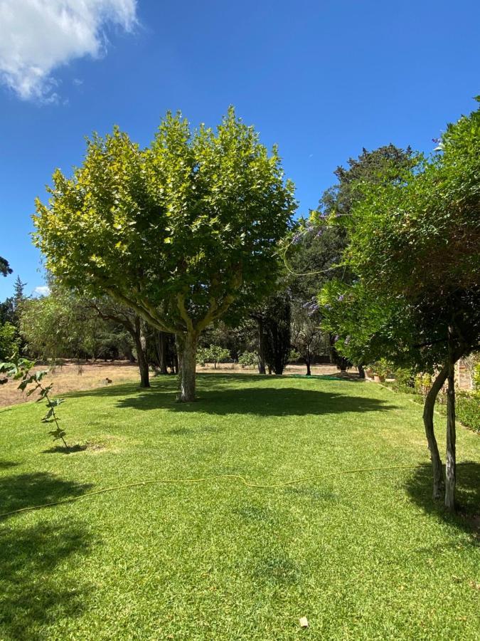 Villa Provencale Familiale Avec Piscine Grimaud Eksteriør bilde